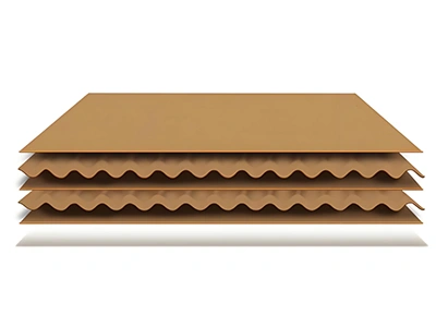 Exposition d’échantillons