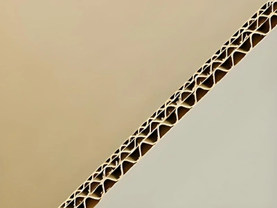 Exposition d’échantillons